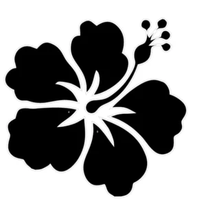 Hawaï Flower
