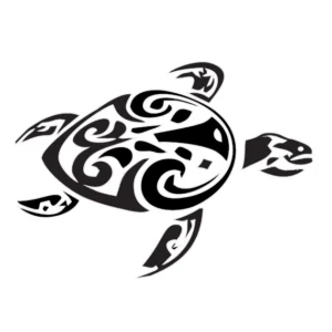 Tortue des Caraïbes