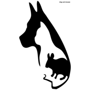 Motif Dog Cat Mouse