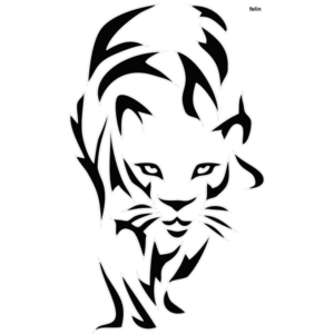 Motif Félin