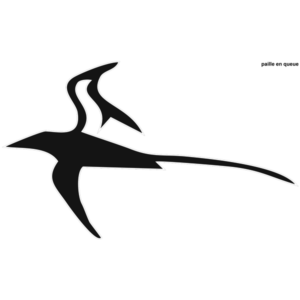 Motif Paille en queue