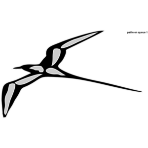 Motif Paille en queue 1