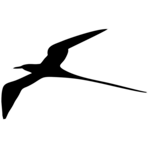 Motif Paille en Queue V2