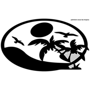 Motif Palmiers sous les Tropics
