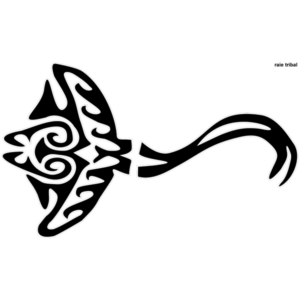 Motif Raie Tribale