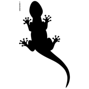Motif Salamandre (v2)
