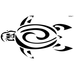 Motif Tortue